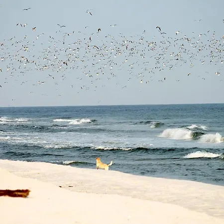 White Pearl 3.12 Apartment *