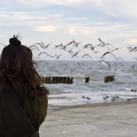 White Pearl 3.12 Timmendorfer Strand