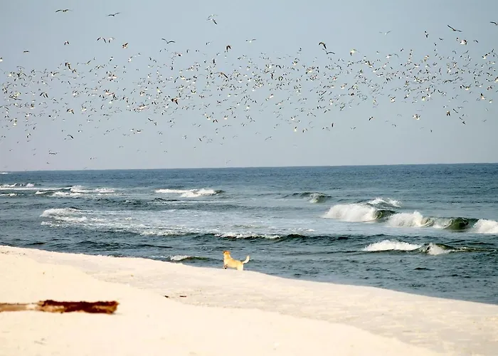 White Pearl 3.12 Apartment *